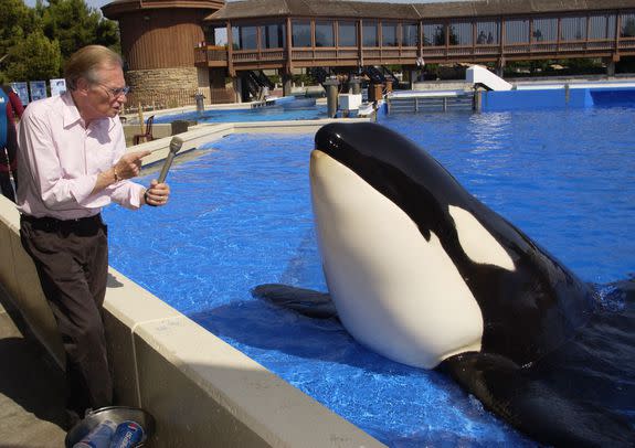 Larry King and Shamu, chilling at SeaWorld in San Diego.