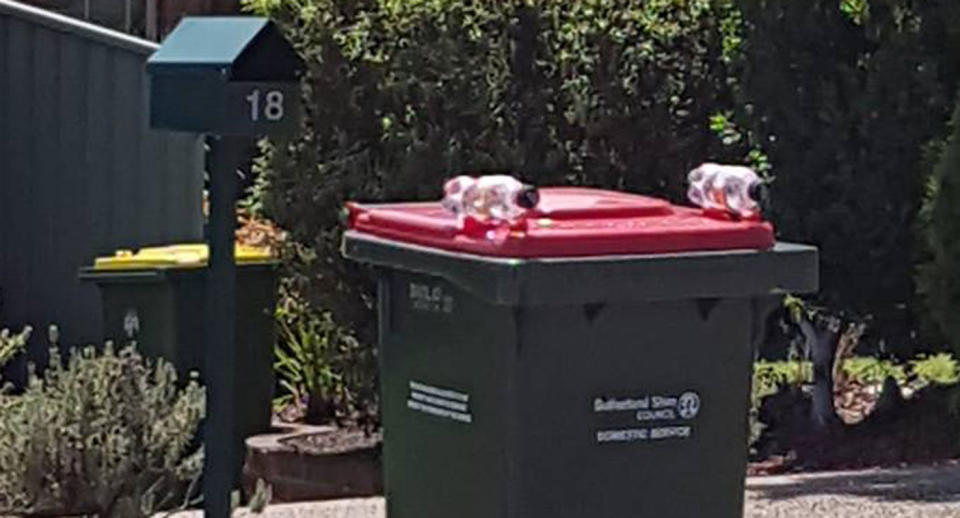 A Menai resident has decided to weigh down their bin lids with plastic bottles to stop birds from getting in. Source: Facebook/ Camille Valvo‎
