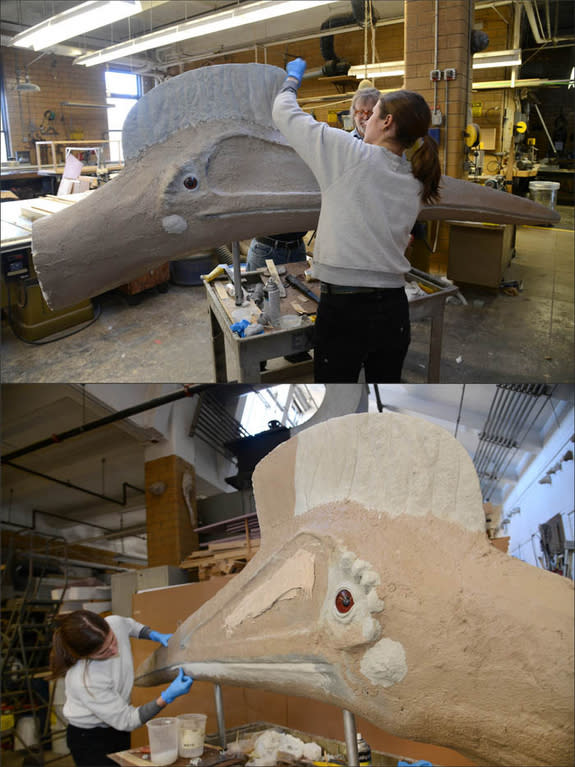 Museum preparators work on a full-size model of <i>Quetzalcoatlus northropi</i>, one of the largest pterosaurs with a wingspan of at least 33 feet. This model will be featured in the new exhibition <i><b>Pterosaurs: Flight in the Age of Dinosau</b></i>