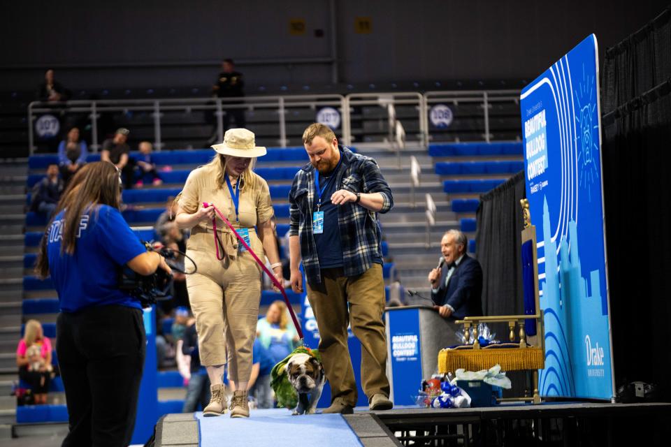 Cassy the bulldog walks down the stage during the 45th annual Beautiful Bulldog Contest Sunday, April 21, 2024, at the Knapp Center in Des Moines.