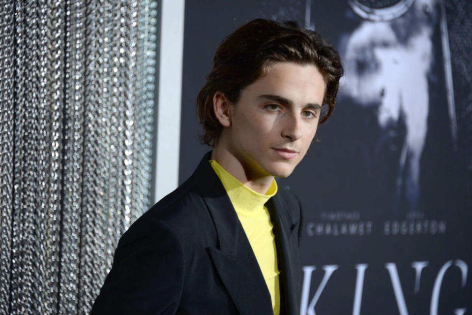 Ces stars qui vont faire l'actu en 2020 : Timothée Chalamet