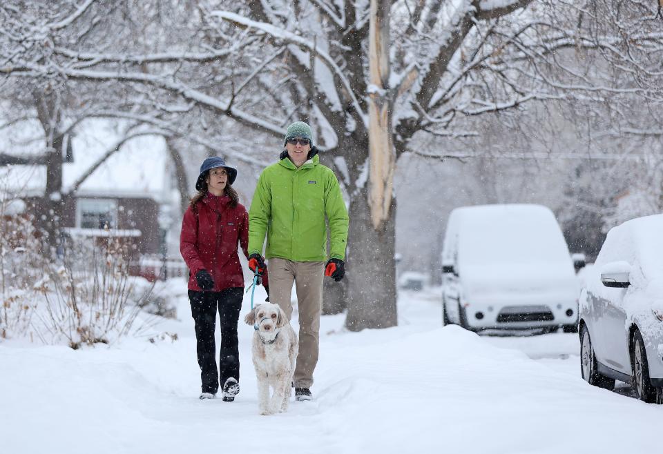 Sherri Davis and Troy Davis walk Scout during a snowstorm in Salt Lake City on Thursday, Jan. 11, 2024. | Kristin Murphy, Deseret News