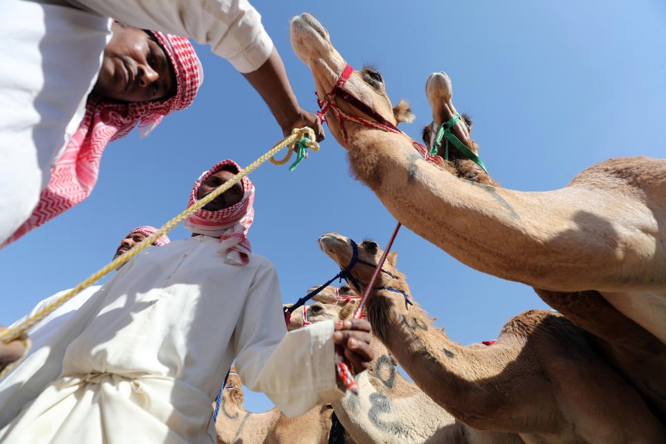 Liwa 2018 Moreeb Dune Festival