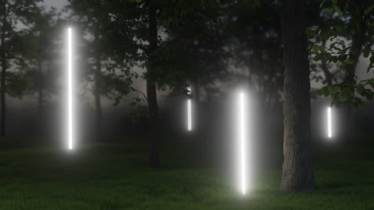 Neon lines light in forest with futuristic visual effect