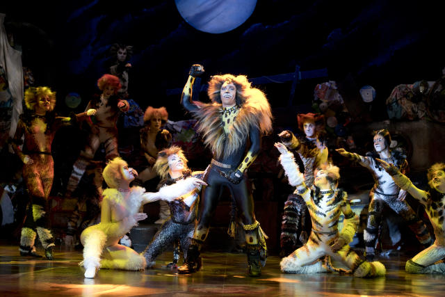 The Original Cats Musical Is Coming to Hungary As Part of Their World  Tour - The Theatre Times