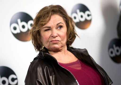 Actress Roseanne Barr is to portray a Trump supporter in the revival of her award-winning ’90s TV show