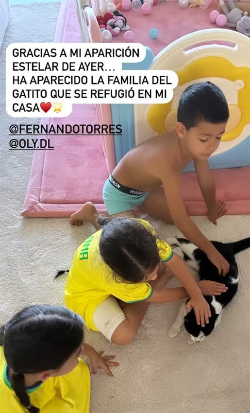 Georgina cuenta la curiosa historia del gato que apareció en su casa