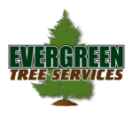 Evergreen Tree Services