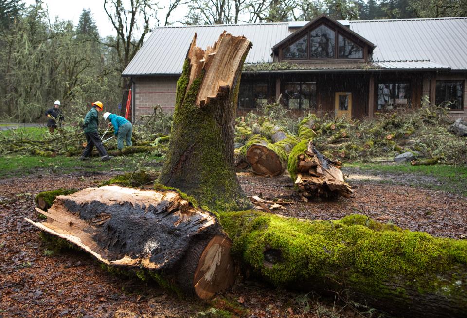 Volunteers and staff work to cleanup portions for Mt. Pisgah Arboretum near the White Oak Pavilion on Jan. 26.