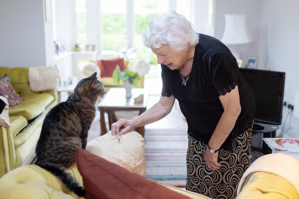 Birchgrove welcomes pets to its retirement apartments <i>(Image: Birchgrove)</i>