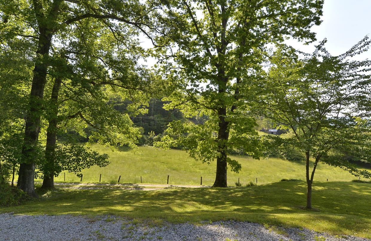 Hendersonville will celebrate Arbor Day and its Tree City USA status Friday, May 6 with a planting of a tree.