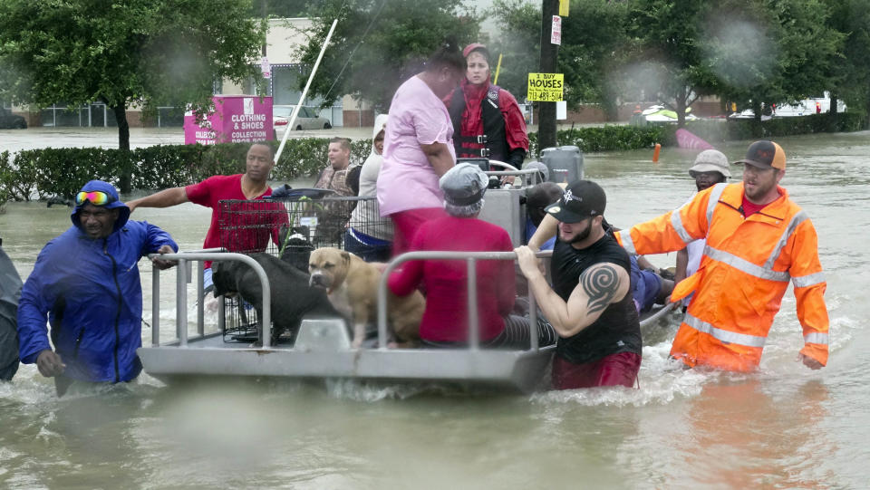 (Bild: ddp/<span> Lee Celano/The Advertiser via USA TODAY NETWORK) </span>