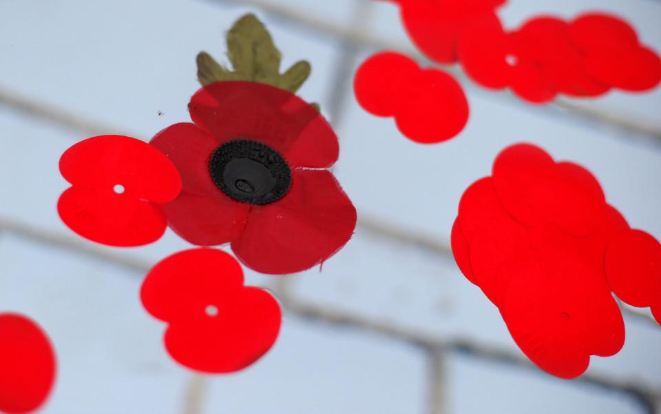 Poppies float in a fountain in Trafalgar Square, following a Remembrance Day event in central London