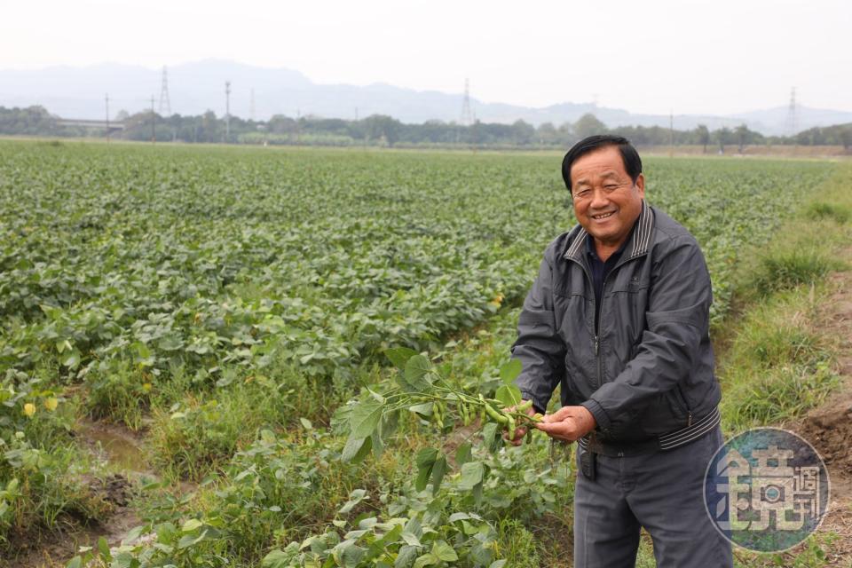 台灣毛豆生產聯誼會的會長陳榮華的毛豆田與豆油伯合作契作。