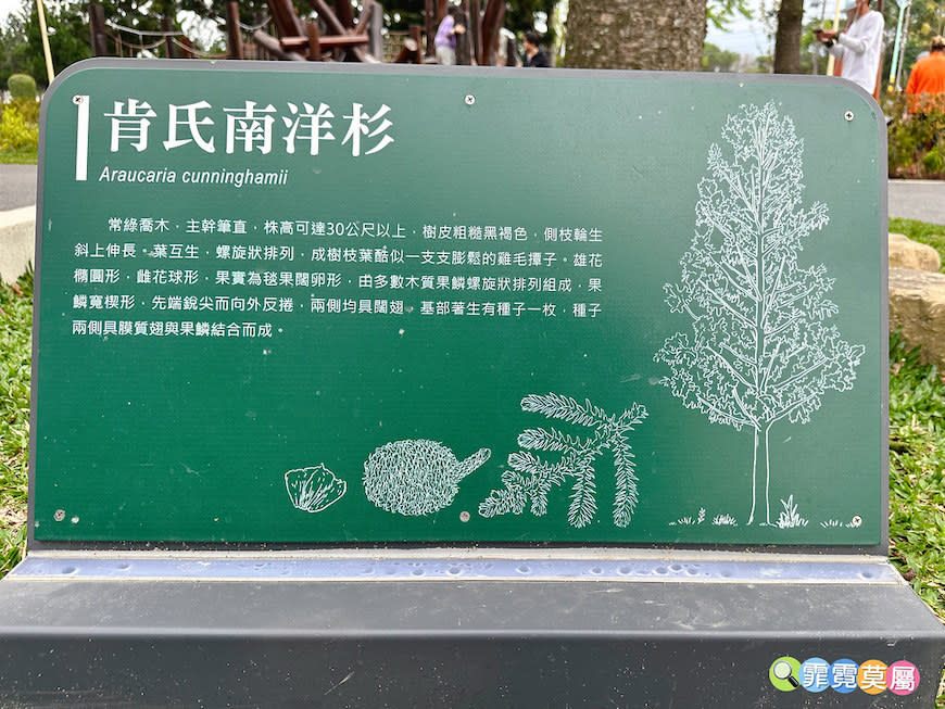 桃園龍潭綠杉林公園