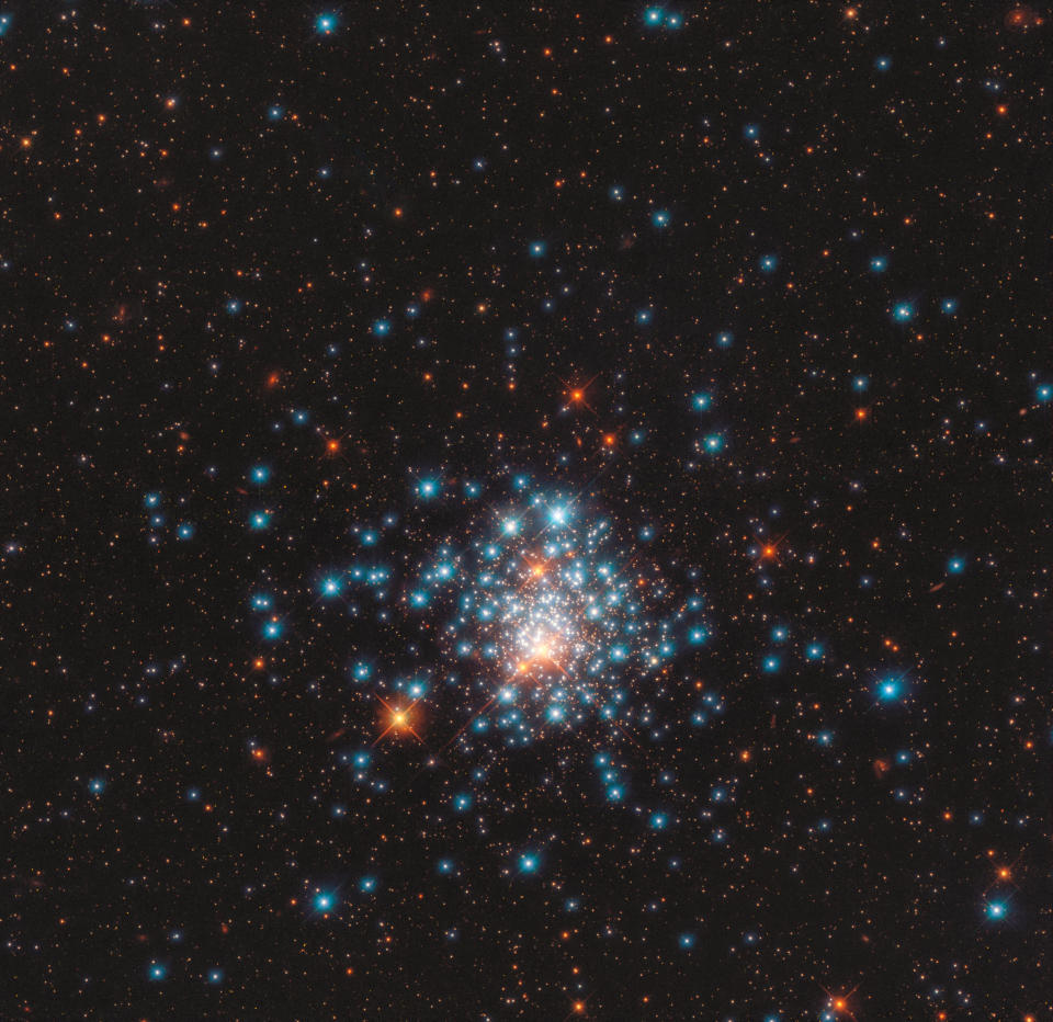 Many colorful stars are packed close together in this image of the globular cluster NGC 1805, taken by the NASA/ESA Hubble Space Telescope.  / Credit: ESA/Hubble & NASA, J. Kalirai