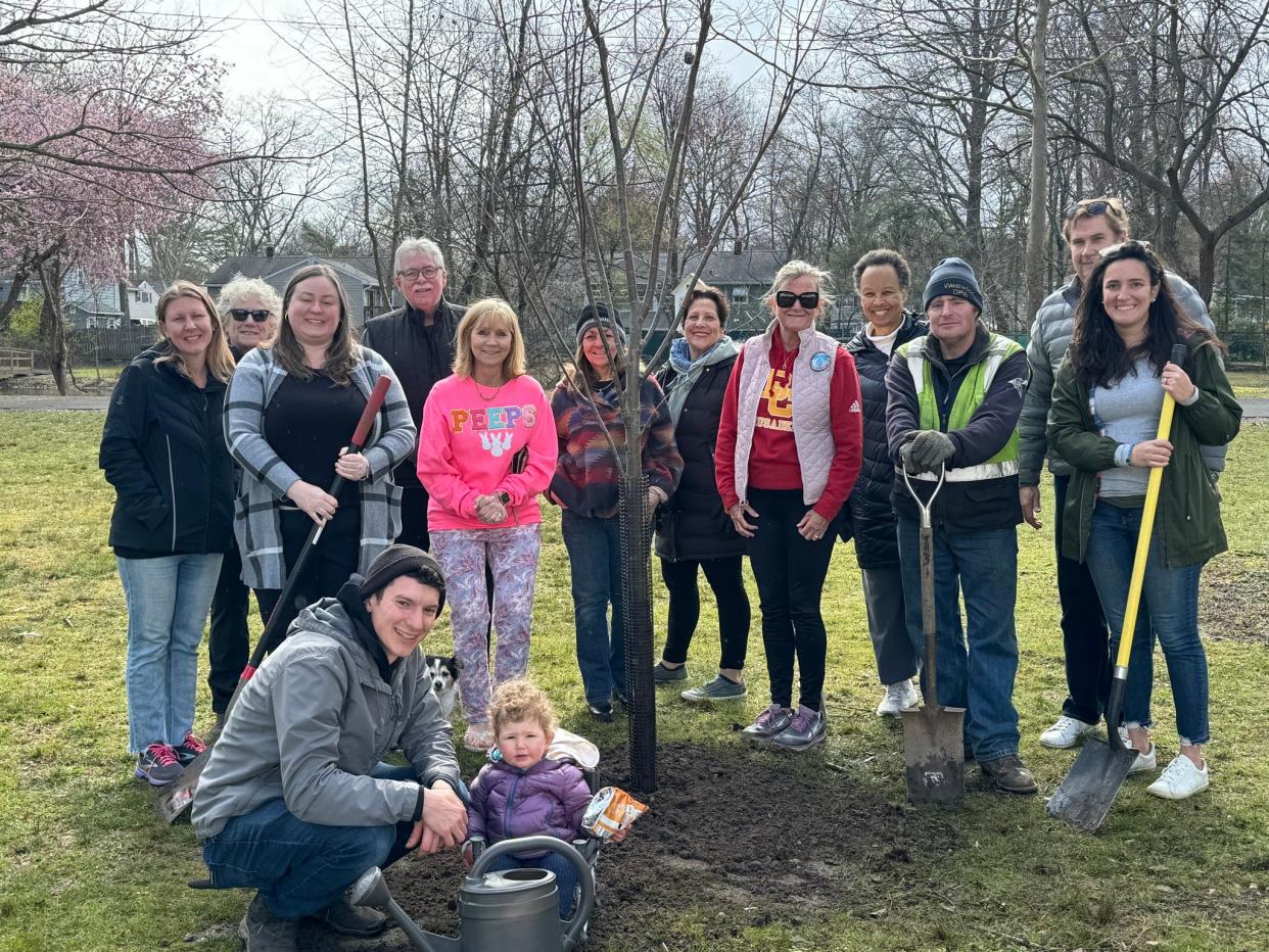 Westwood volunteers plant a tree at Gritman Pond during the first of five Arbor Day events throughout the month in the borough.