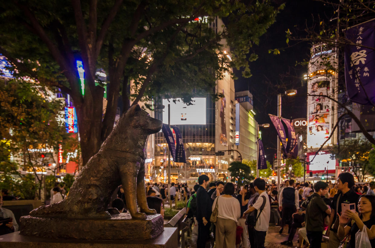 Zu Ehren des treuen Hundes "Hachiko" wurde eine Statue direkt am Bahnhof "Shibuya" in Tokio errichtet. Dass Hunde treue Begleiter sein können, auch über den Tod ihrer Besitzer hinaus, zeigt aktuell der "griechische Hachiko". Foto: gettyimages / Mantas Volungevicius