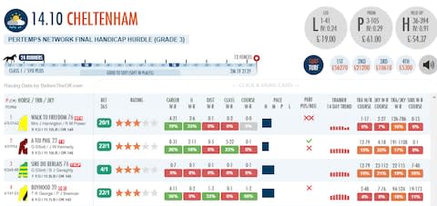 Cheltenham racecard - Credit: Telegraph