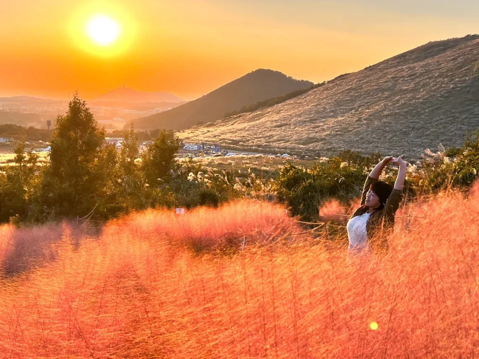 &#x0097d3;&#x00570b;&#x007f8e;&#x0062cd;&#x005cf6;&#x005f88;Chill &#x008292;&#x0082b1;&#x0096ea;&#x003001;&#x007c89;&#x007d05;&#x004e82;&#x005b50;&#x008349;&#x003001;&#x006a58;&#x005b50;&#x005712;&#x005496;&#x005561;&#x009928;&#x00ff01;&#x0076f4;&#x0064ca;&#x00300a;&#x006211;&#x005011;&#x007684;&#x0085cd;&#x008abf;&#x006642;&#x005149;&#x00300b;100&#x00500b;&#x006708;&#x004eae;&#x007948;&#x009858;&#x0079d8;&#x005883;