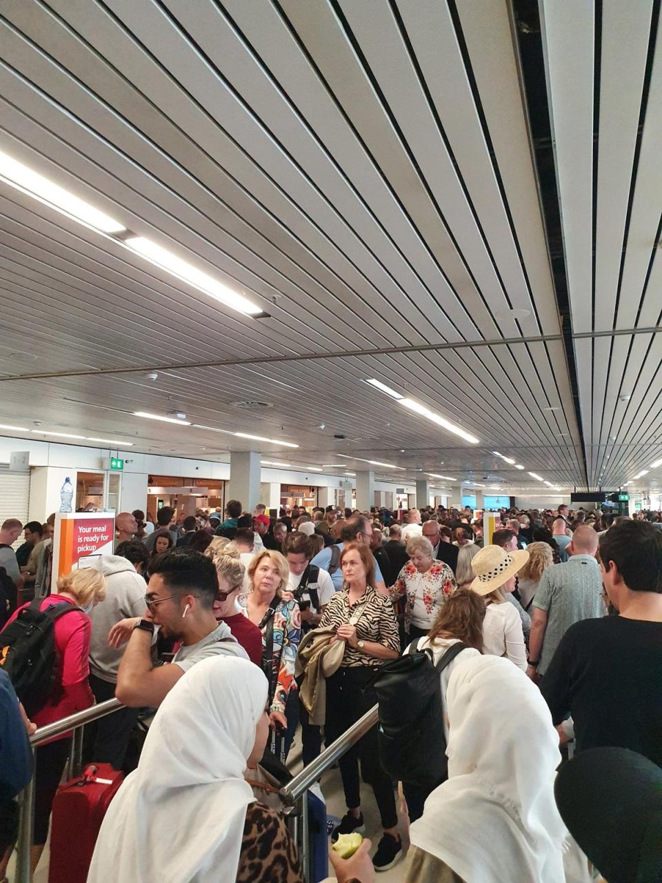 Queues at Amsterdam Schiphol on Monday (Twitter/Andrew Shokry Louiz)