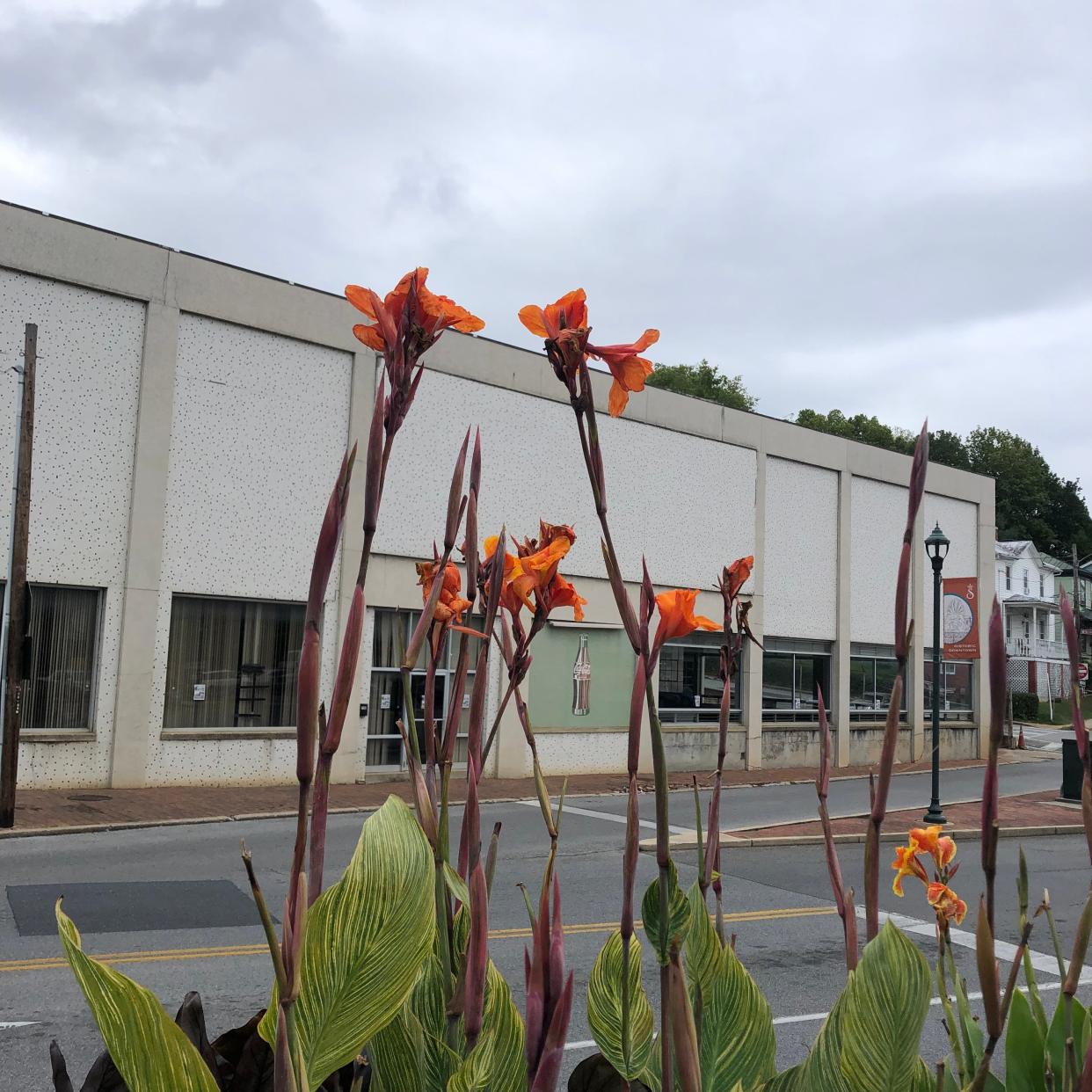 The 100-year-old Coca-Cola building, as seen from the Staunton Public Library parking lot. The building may be re-zoned to accommodate a brewery and tasting room.