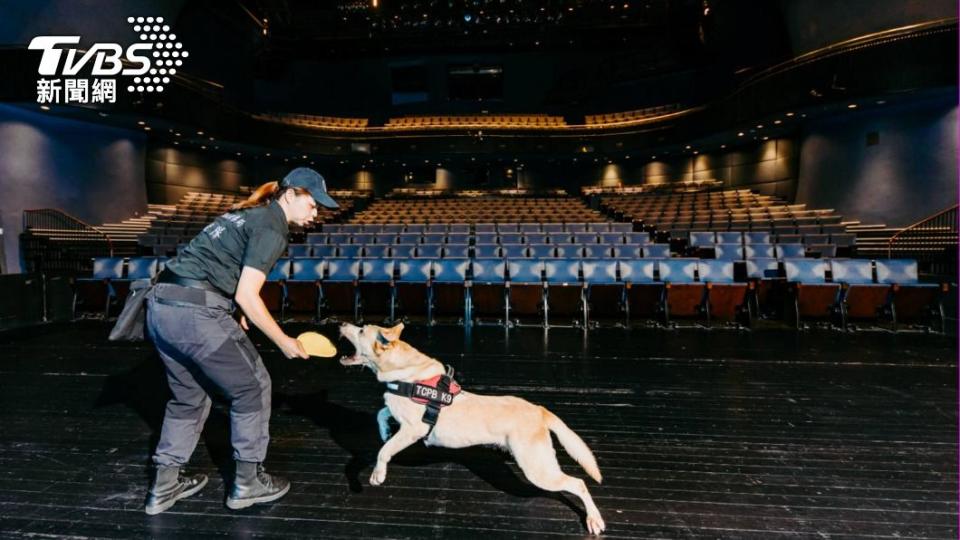 警犬隊平時訓練專業且精實。（圖／TVBS）