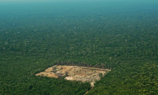 A plan to merge the agriculture and environment ministries was seen as a threat to Brazil's natural resources, including the Amazon rainforest