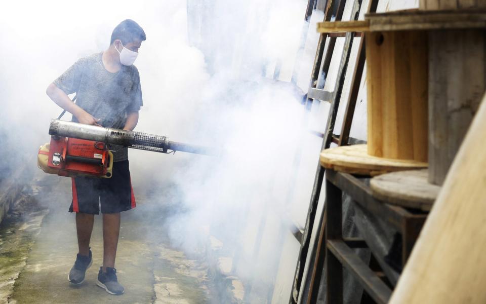 A 'fumigation day' sees a worker spraying chemicals to wipe out the chikungunya-carrying mosquitoes during an outbreak in El Salvador - Rodrigo Sura/EPA-EFE/Shutterstock