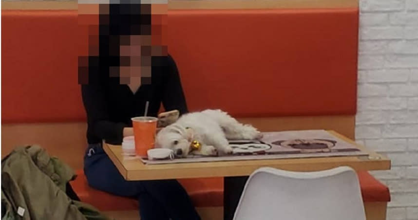 一位女客人讓寵物狗狗直接躺在早餐店桌上。（圖／翻攝臉書爆怨公社）
