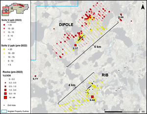 Figure 3: Enzyme Leach soils geochemistry at the Dipole and RIB targets, showing 2022 and historical data.