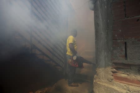 A municipal worker fumigates the Petare slum to help control the spread of the mosquito-borne Zika virus in Caracas, February 3, 2016. REUTERS/Marco Bello