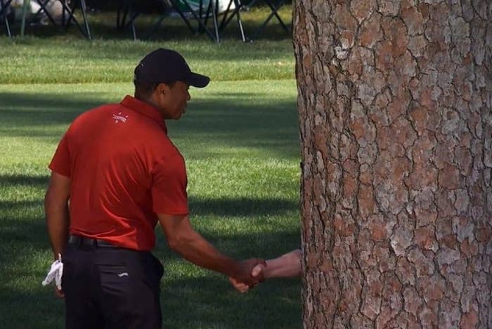 The Funniest Memes About Tiger Woods Shaking Hands With A Tree