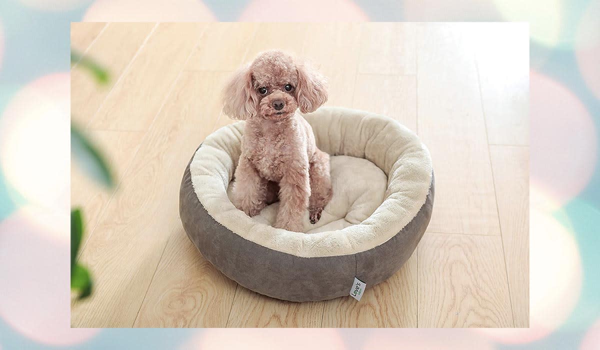 Aw, the baby! Aw, the baby! Aw, the baby! Aw, the baby! Um, oh yeah...you should buy one of these pet beds. (Photo: Amazon)