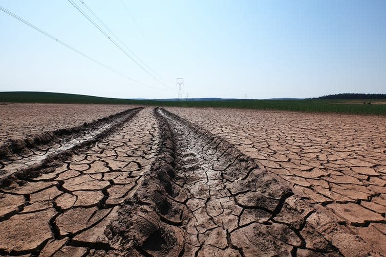 <span class="caption">UK politicians recently warned that food imports are at huge risk from climate breakdown.</span> <span class="attribution"><a class="link " href="https://www.shutterstock.com/image-photo/global-warming-brings-less-moisture-nature-1579995820" rel="nofollow noopener" target="_blank" data-ylk="slk:Jan Borecky/Shutterstock;elm:context_link;itc:0;sec:content-canvas">Jan Borecky/Shutterstock</a></span>