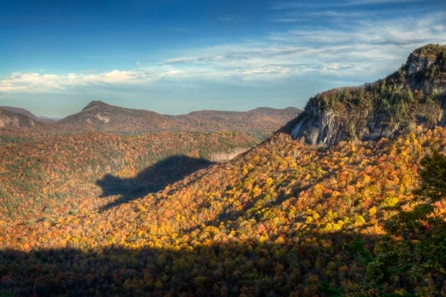 Rare Autumn Bear Shadow in Blue Ridge Mountains