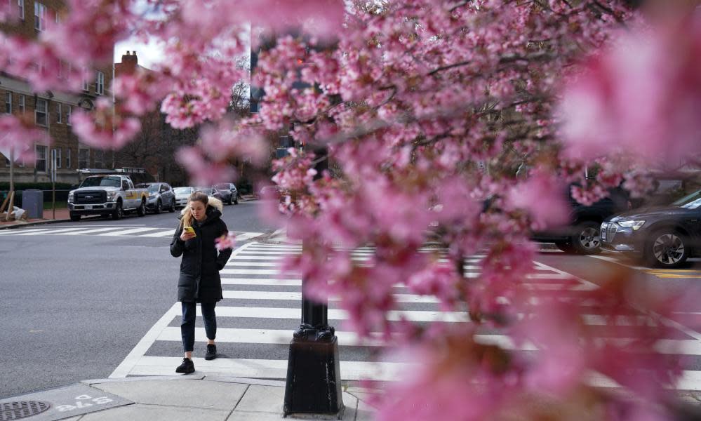 <span>Photograph: Sarah Silbiger/Reuters</span>