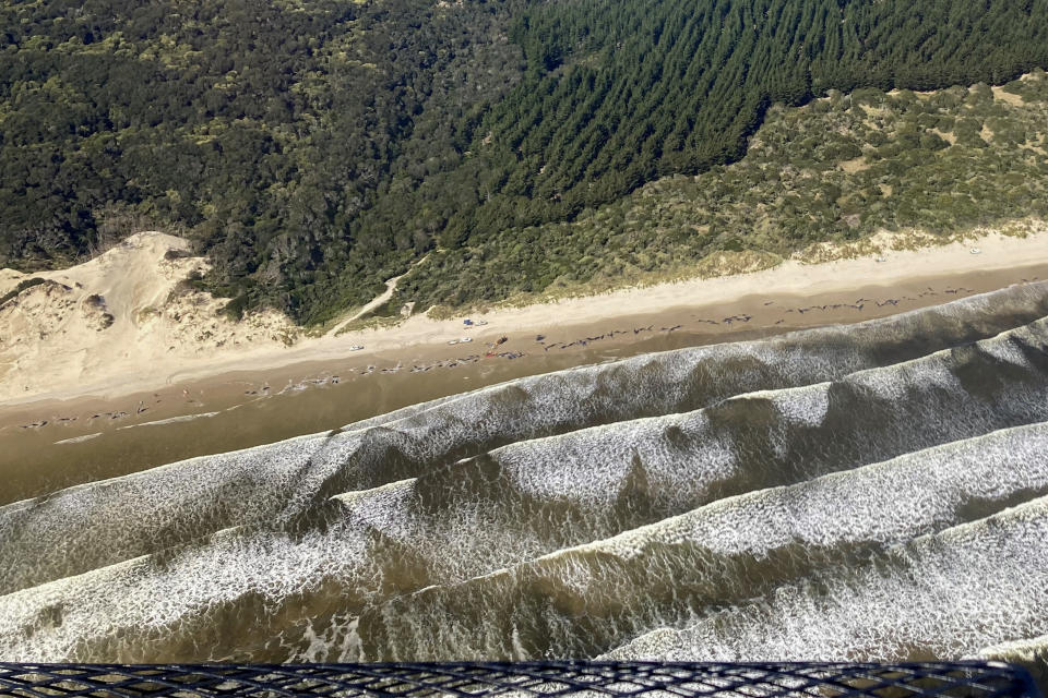 Whales are stranded on Ocean Beach at Macquarie Harbour on the west coast of Tasmania of Australia, Thursday, Sept. 22, 2022. A day after 230 whales were found stranded on the wild and remote west coast of Australia's island state of Tasmania, only 35 were still alive despite rescue efforts that were to continue Thursday. (Department of Natural Resources and Environment Tasmania via AP)