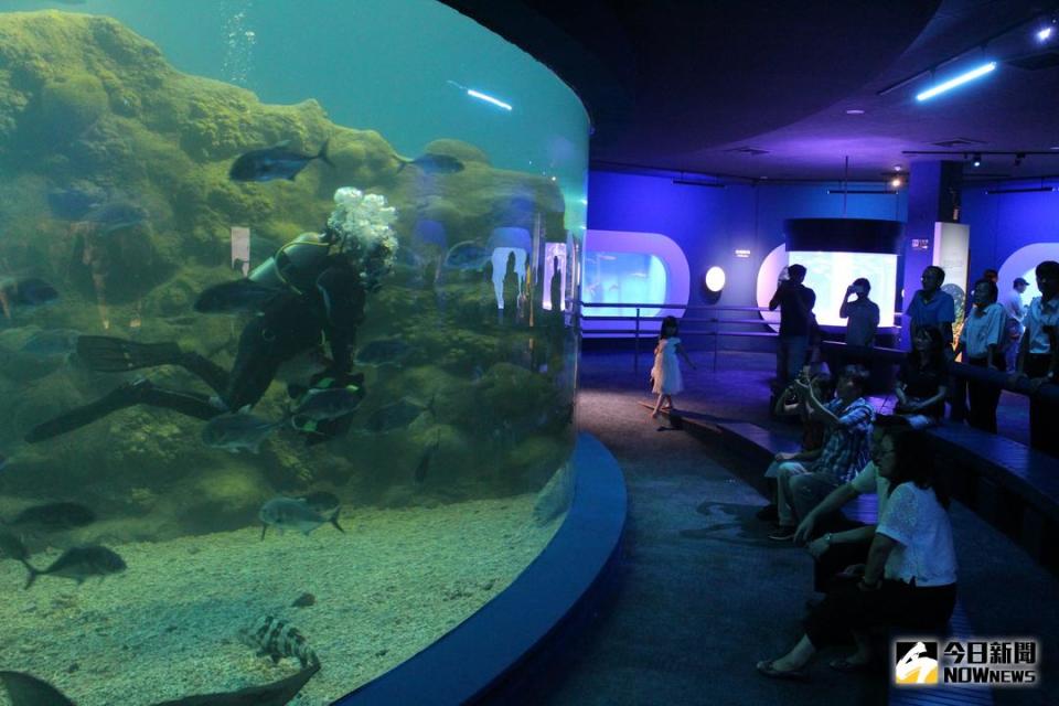 ▲澎湖水族館的餵魚秀是遊客最喜愛的項目之一。（圖／張塵攝 , 2018.08.16）