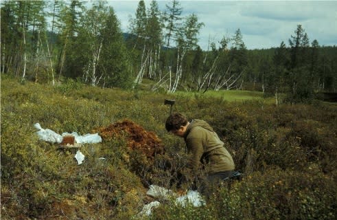 This image shows researcher Andrei E. Zlobin during a 1988 expedition to the site of the Tunguska impact. Here, he is digging into peat-bog layers to look for evidence of the explosion. In a nearby river, Zlobin found three rocks that could be