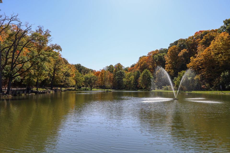 One area full of fall foliage is Hopewell Community Park, which offers visitors plenty of up-close interactions with nature during the changing season.