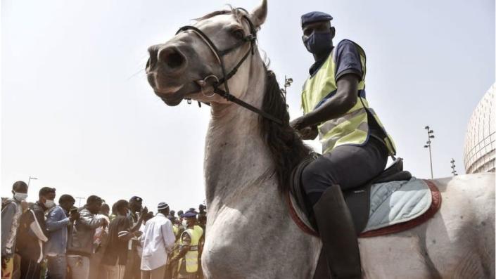 A gendarme on a white horse. He is wearing a uniform and there are people lining up behind him.