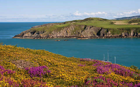 Porth Wen - Credit: AP