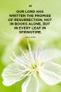 <p>"Our Lord has written the promise of resurrection, not in books alone, but in every leaf in springtime."</p>