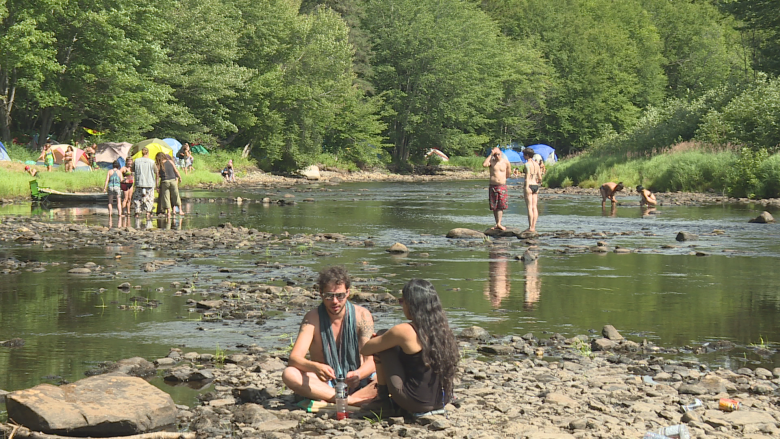 Future Forest Festival kicks off in new deep-woods home