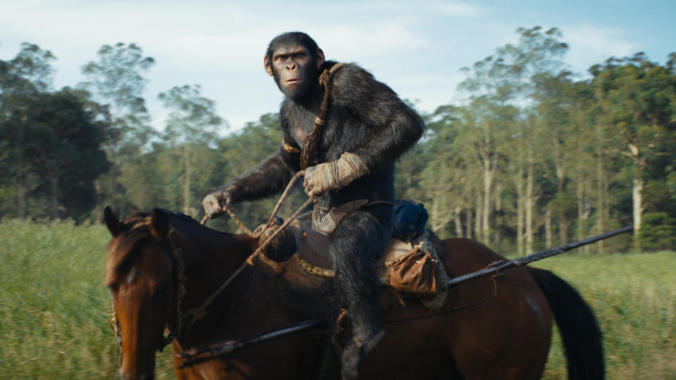 Owen Teague as Noa in Kingdom of the Planet of the Apes. (20th Century Studios)