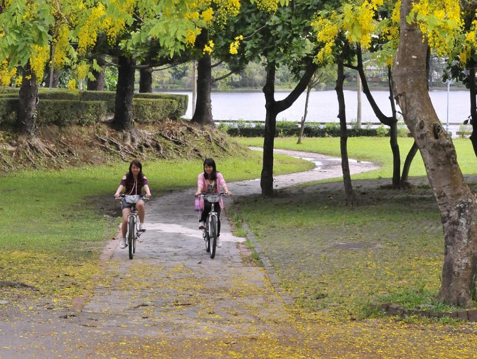 10月11日為國際女孩日，女生享有免費入園的優惠。   圖： 台南市政府觀光旅遊局/提供