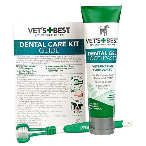 Go For a Vet-Approved Dental Care System