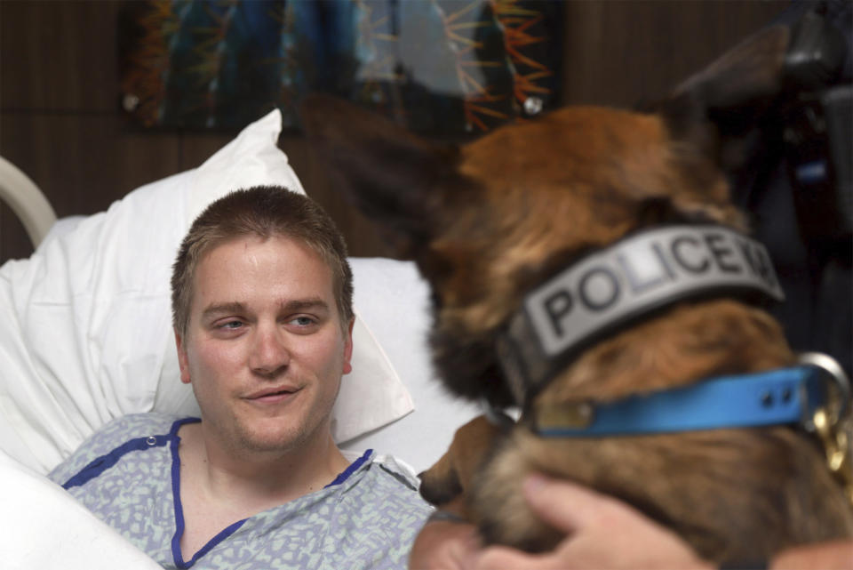 This photo provided by Piedmont Columbus Regional shows wounded Alabama police officer Webb Sistrunk getting a visit from his canine partner Leon at the hospital in Columbus, Ga., on Wednesday, May 22, 2019. Sistrunk was among several Auburn police officers shot while answering a call. One officer was killed, but Sistrunk is recovering. (Joseph T. Paull/Piedmont Columbus Regional via AP)