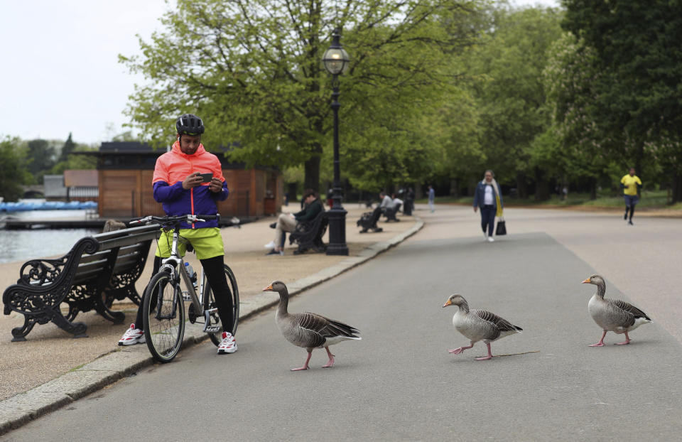 A cyclist watches Greylag geese walk past in a sparsely populated Hyde Park area of central London, as the UK continues in lockdown to help curb the spread of the coronavirus, Sunday May 3, 2020. Many Greylag Geese from eastern Sweden, Finland and east central Europe migrate to winter in southern Europe, some in London. The highly contagious COVID-19 coronavirus has impacted on nations around the globe, many imposing self isolation and exercising social distancing when people move from their homes. (Yui Mok / PA via AP)